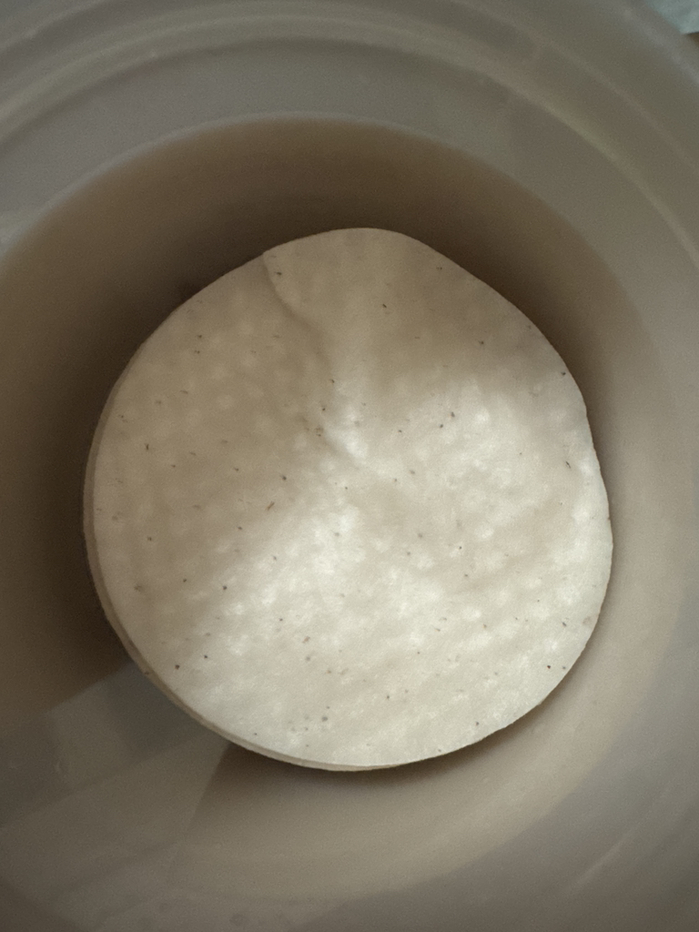 SKINFOOD (思亲肤) 马铃薯马德卡索赛德舒缓垫 common.review image