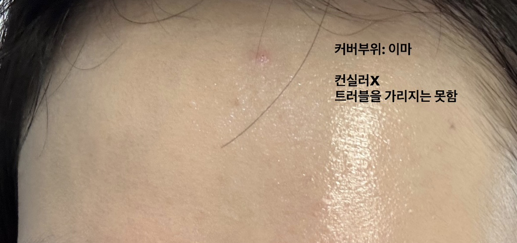 파넬 (Parnell) 시카마누 세럼 쿠션 [SPF45/PA++] [21호] review image