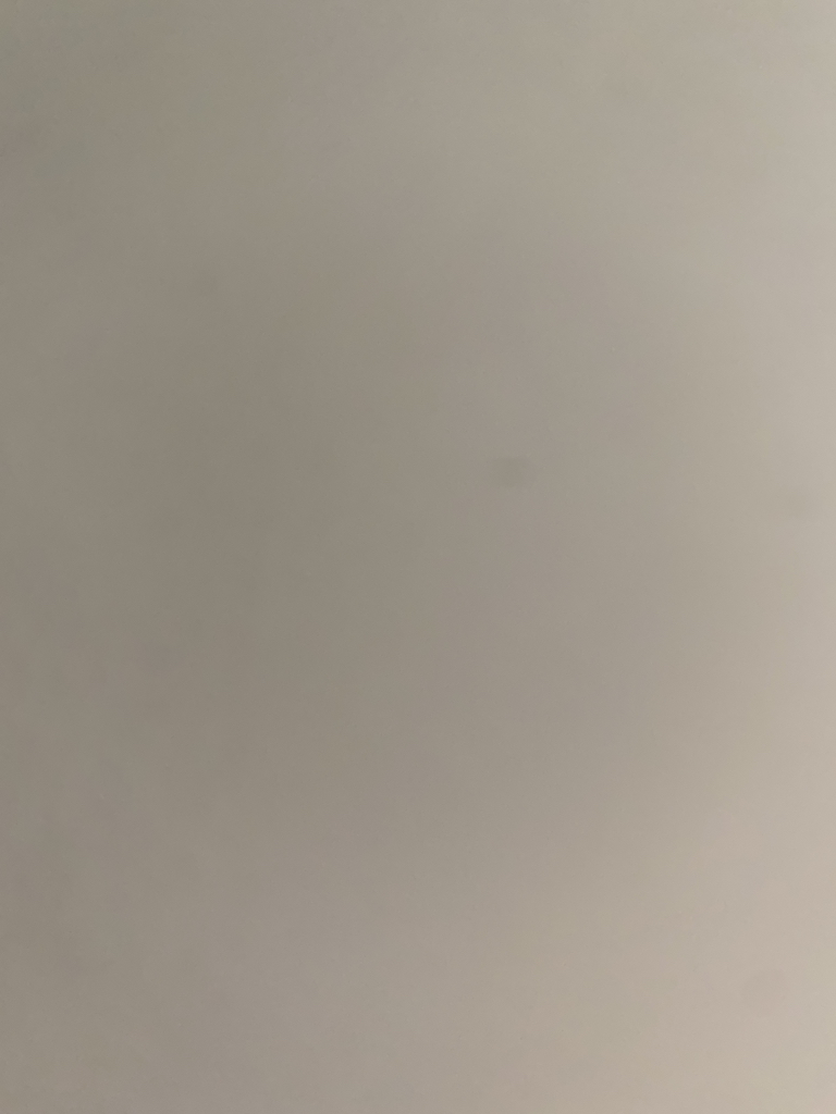 비플레인 (beplain) 선뮤즈 모이스처 선크림 [SPF50+/PA++++] review image