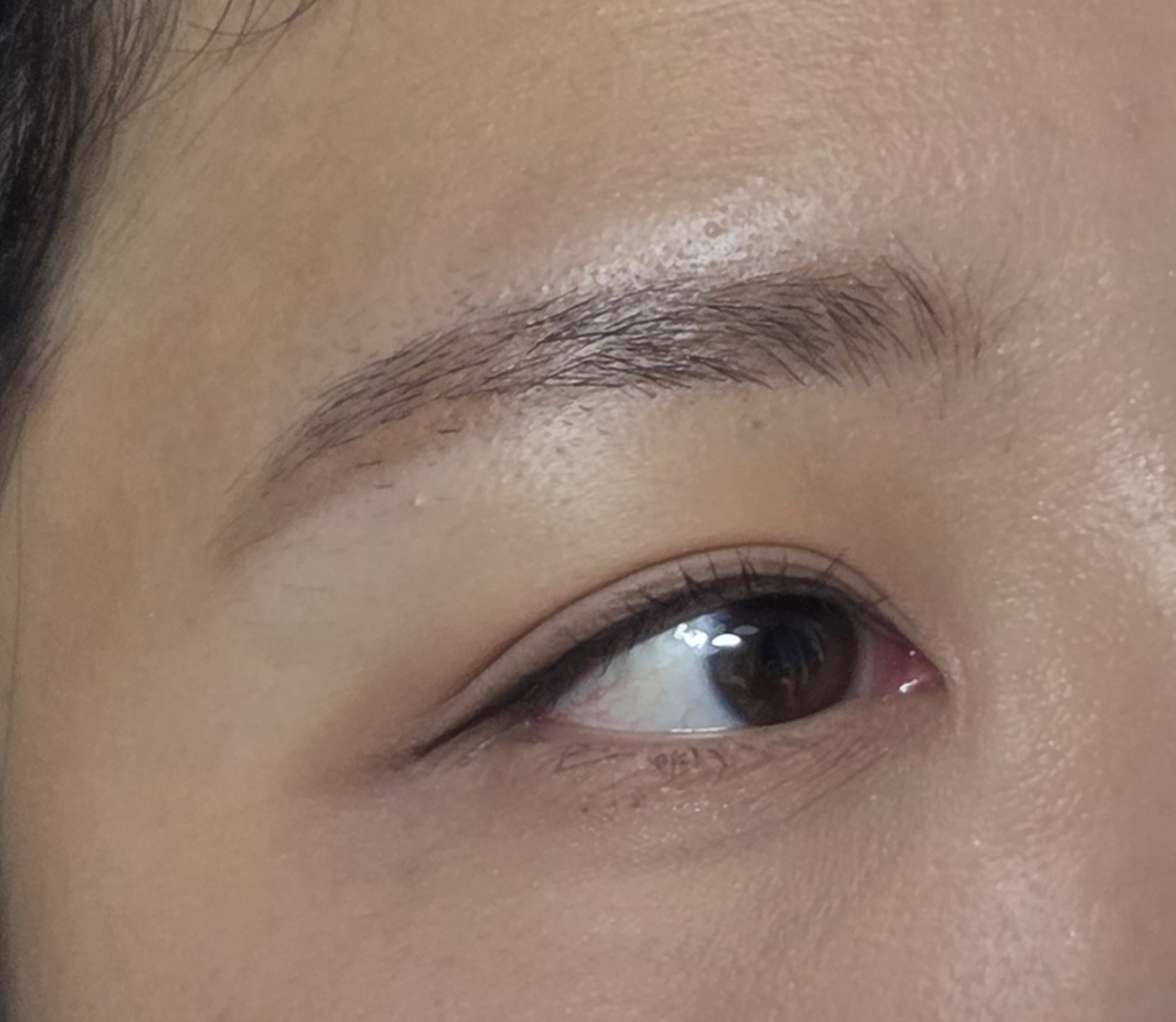 클리오 (CLIO) 수퍼프루프 브러쉬 라이너 [킬브라운] review image