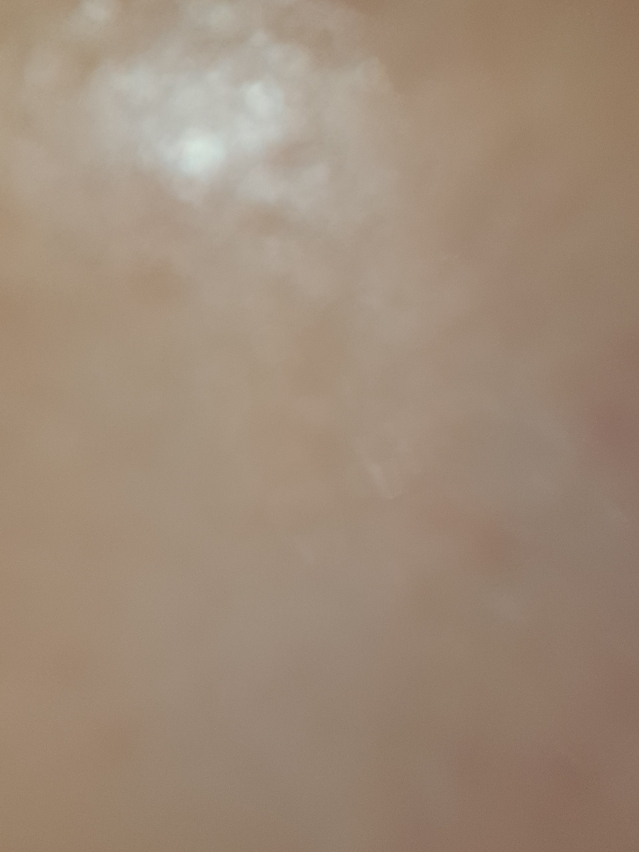 홀리카홀리카 (HOLIKAHOLIKA) 알로에 99% 수딩젤 review image