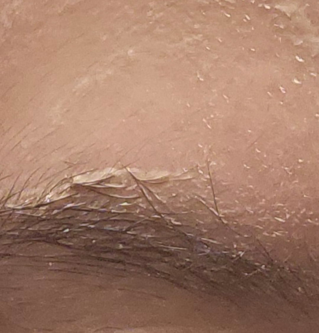 마녀공장 (manyo) 퓨어 소이빈 클렌징밀크 review image