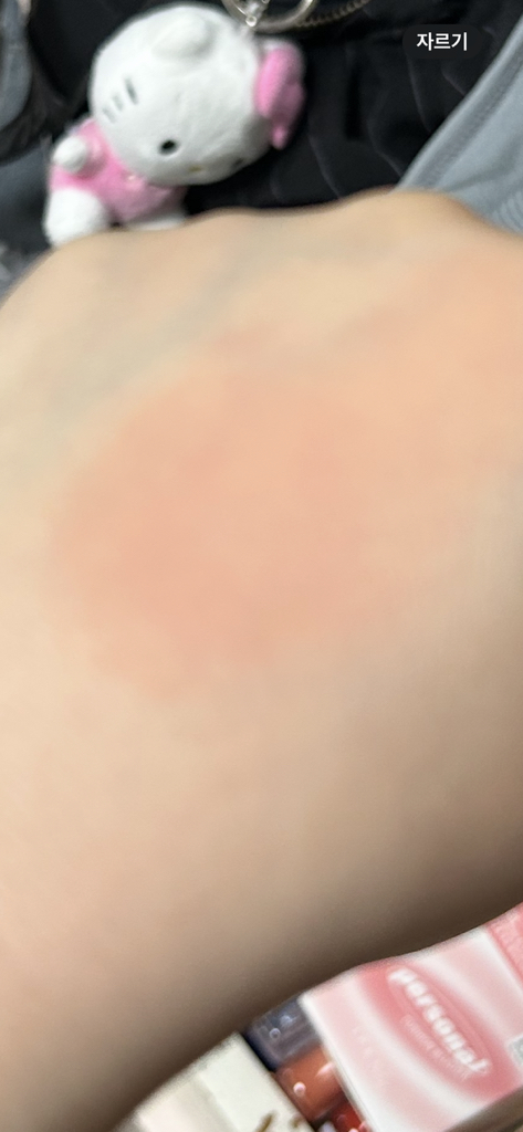 입큰& (IPKN&) 퍼스널 톤 쿠션 블러셔 [디어코랄] review image