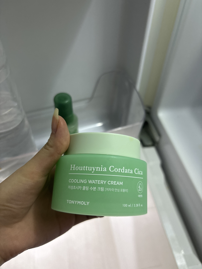 토니모리 (TONYMOLY) 어성초시카 쿨링 수분 크림 review image