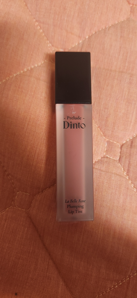 序曲 Dinto 瑰姿艳影唇釉 22 Midnight Rose common.review image