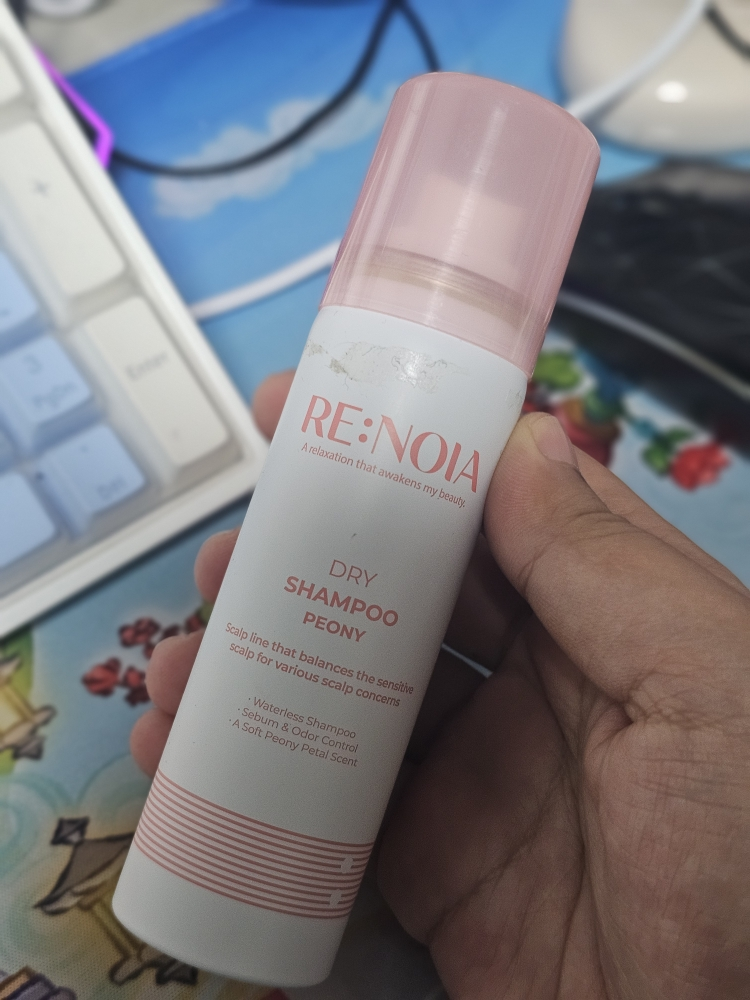 리노이아 (RE:NOIA) 드라이샴푸 [피오니] review image