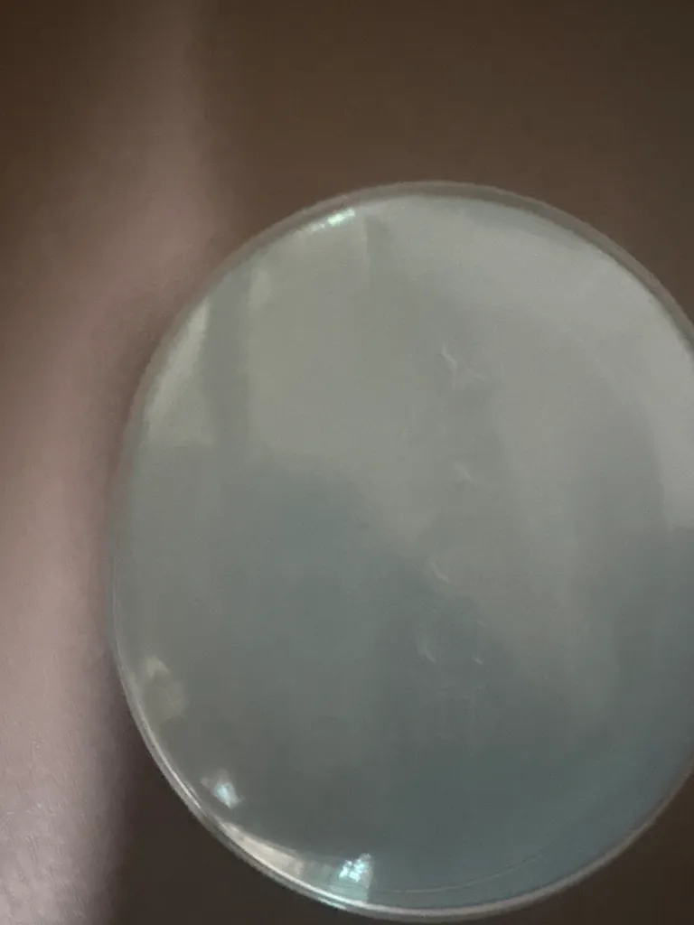 어뮤즈 (AMUSE) 에어리 포어 커버 쿠션 [SPF50+/PA++++] [01 에어리] review image