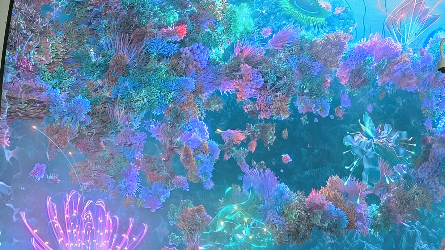 柔恩莱 独岛护肤水 common.review image