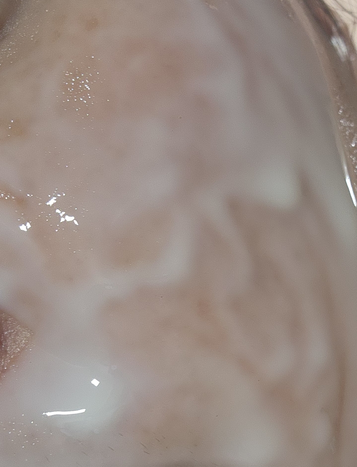 비원츠 (be+wants) SEAWEED PDRN 필오프팩 젤리 마스크 review image