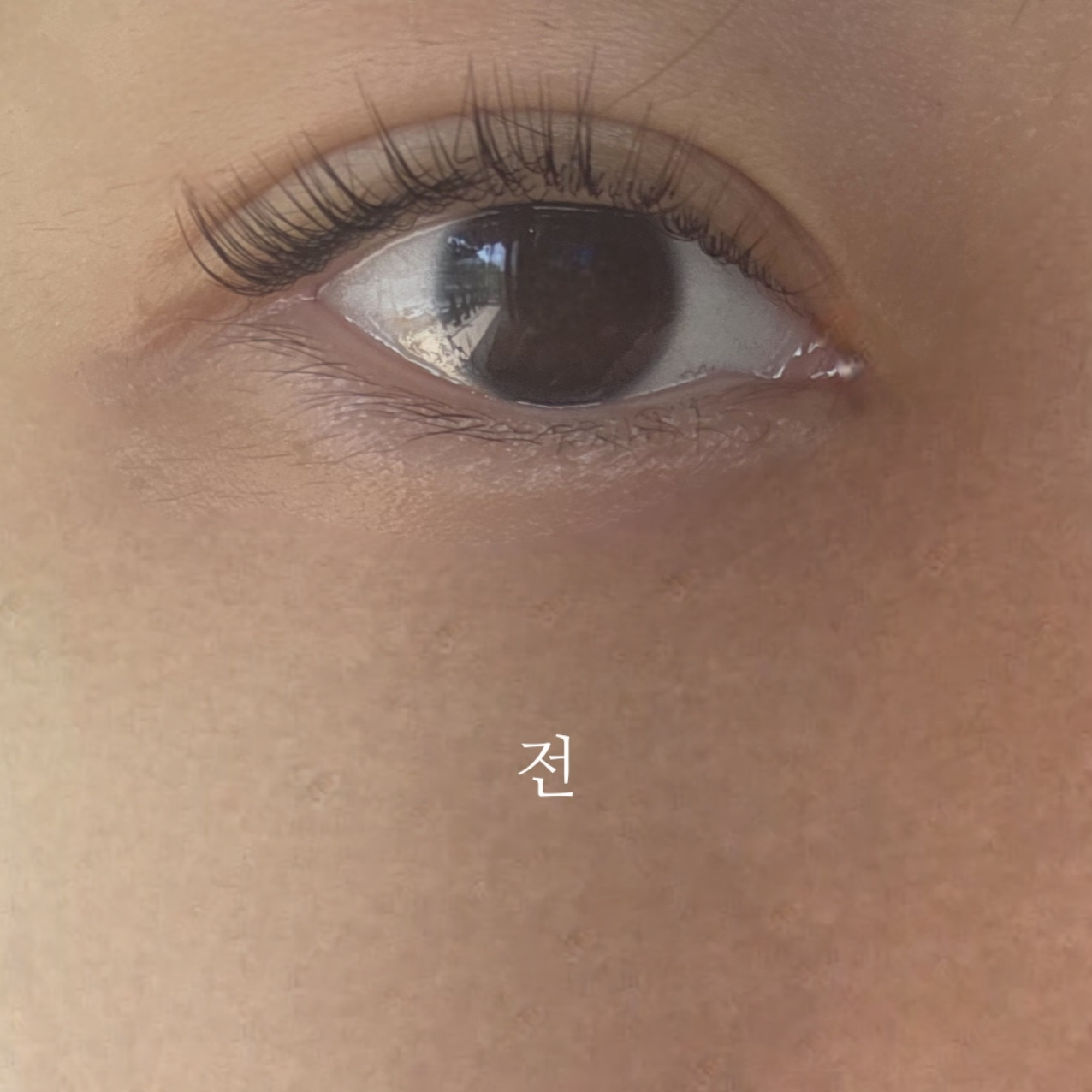 리필드 (Refilled) 사이토카인 아이래쉬 듀얼 앰플 review image