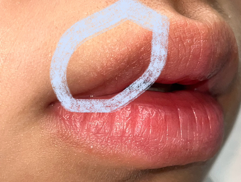 프릴루드딘토 (PreludeDinto) 라벨르 로즈 플럼핑 립틴트 [21 이브닝로즈] review image