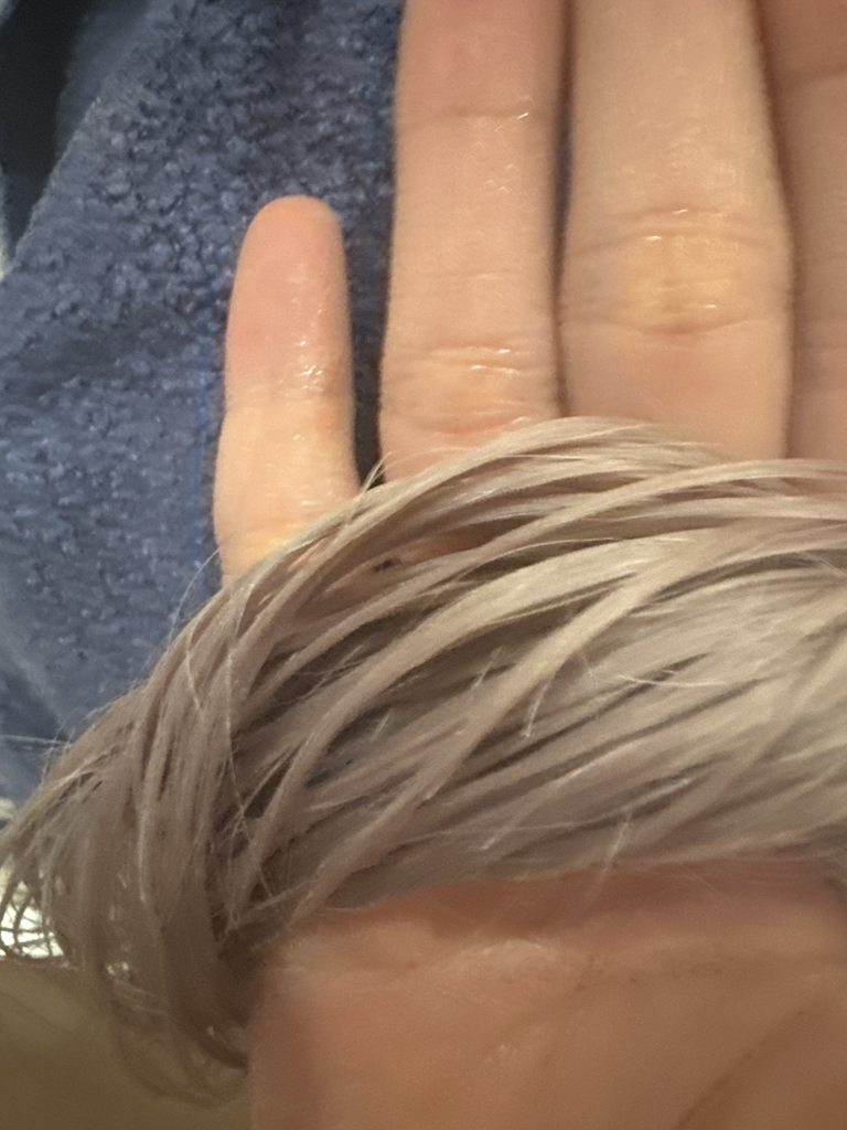 말콤 (MALCOM) 모던 플로라 블루머스크 트리트먼트 review image