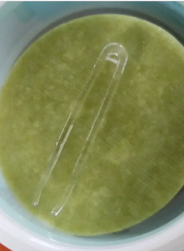 1号西瓜制成的绿色垫子的真实用户使用照片