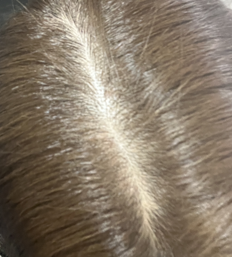 高级香水修复洗发水的真实用户使用照片