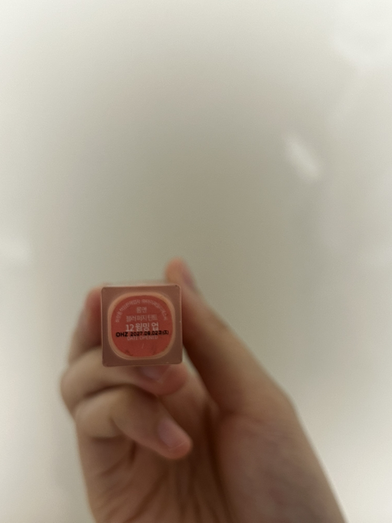 롬앤 (ROMAND) 블러 퍼지 틴트 [12 웜밍업] review image