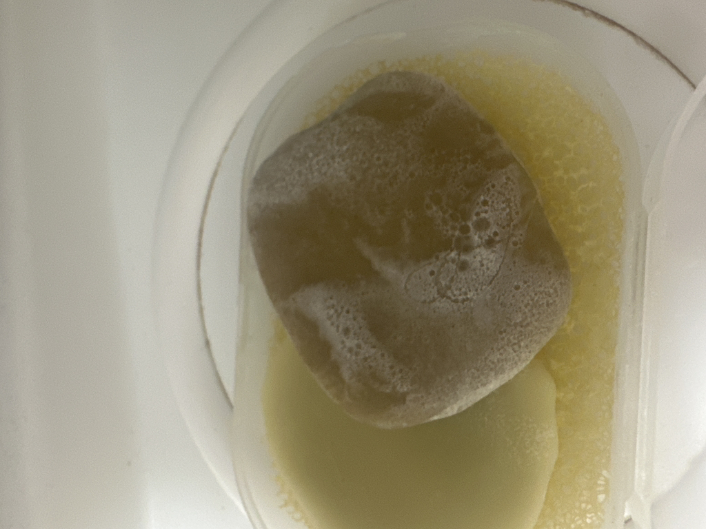 洗发棒 S19 猴面包树 [头发保湿护理]的真实用户使用照片