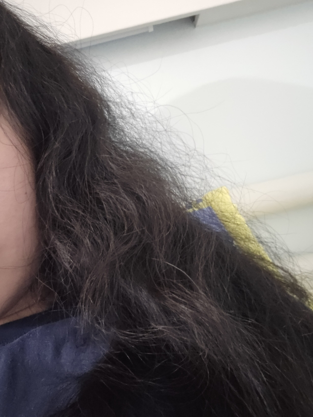 摩洛哥向日葵发膜的真实用户使用照片