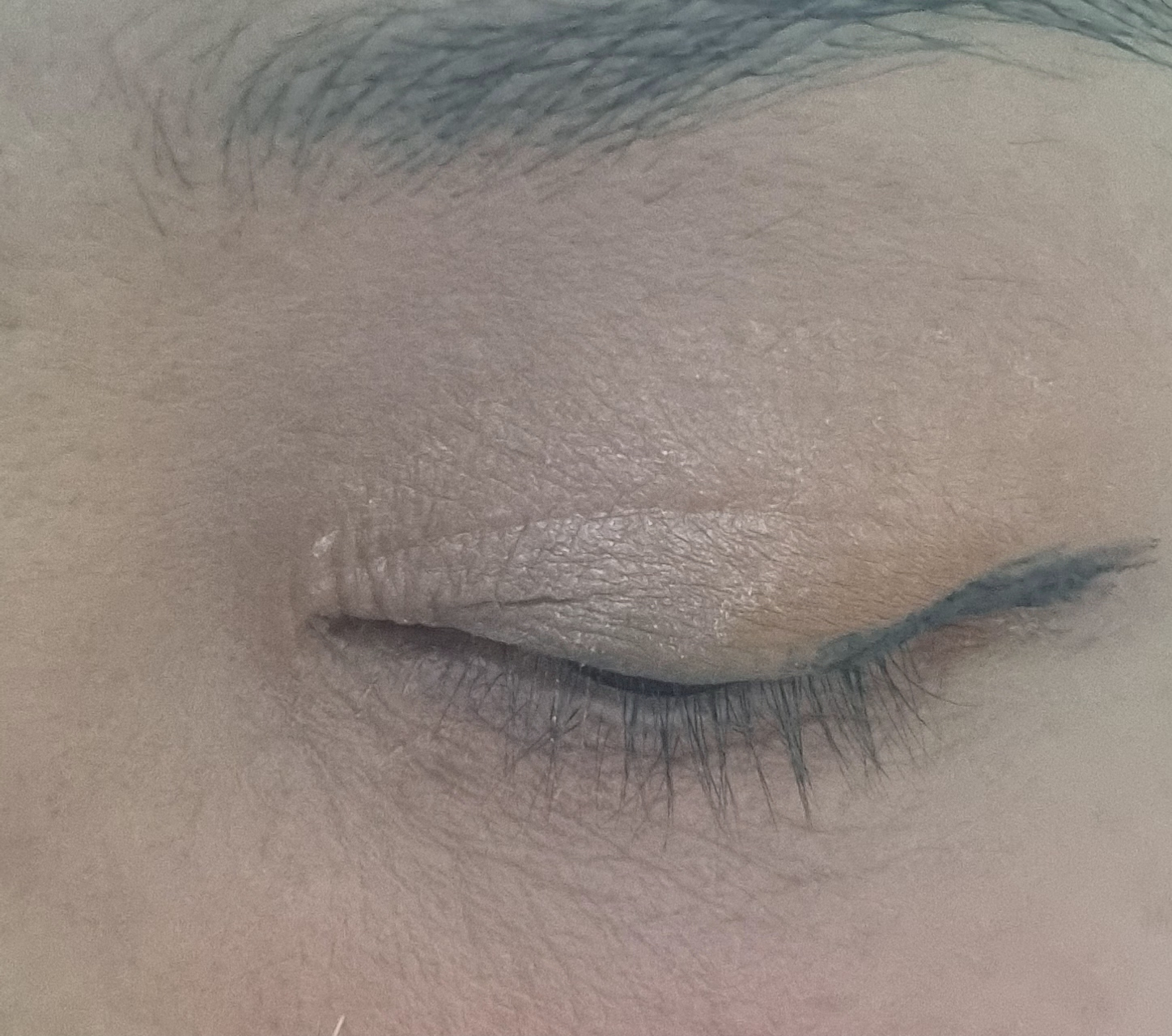 자빈드서울 (JAVINDESEOUL) 윙크 아이 쉐이드 프라이머 [05 페일로즈] review image