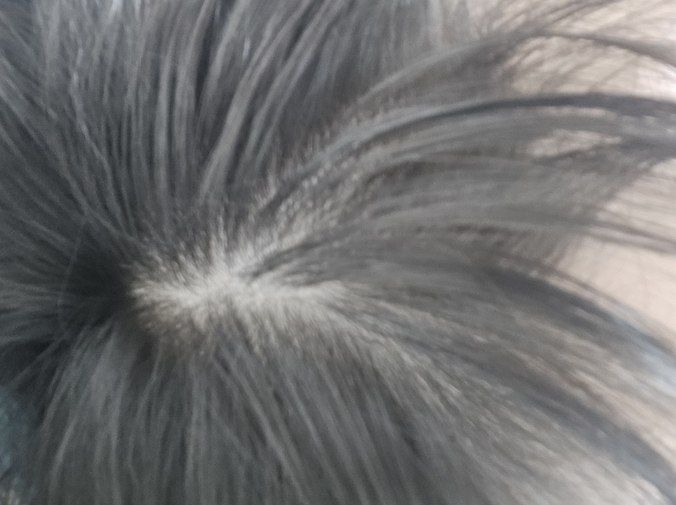 바이브랩 (ViveLab) 리바이브 테라피 헤어 스칼프 인핸싱 폼 review image