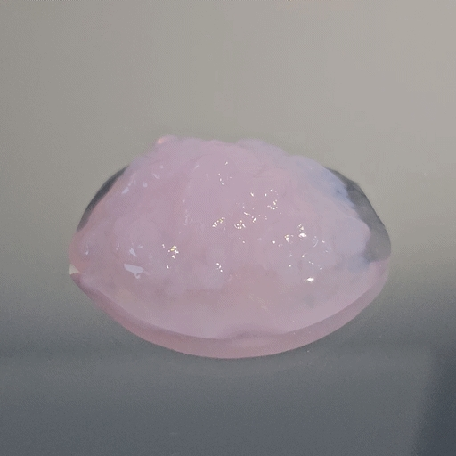 웰더마 (WellDerma) PDRN 엑소좀 하이드레이팅 겔 미스트 review image