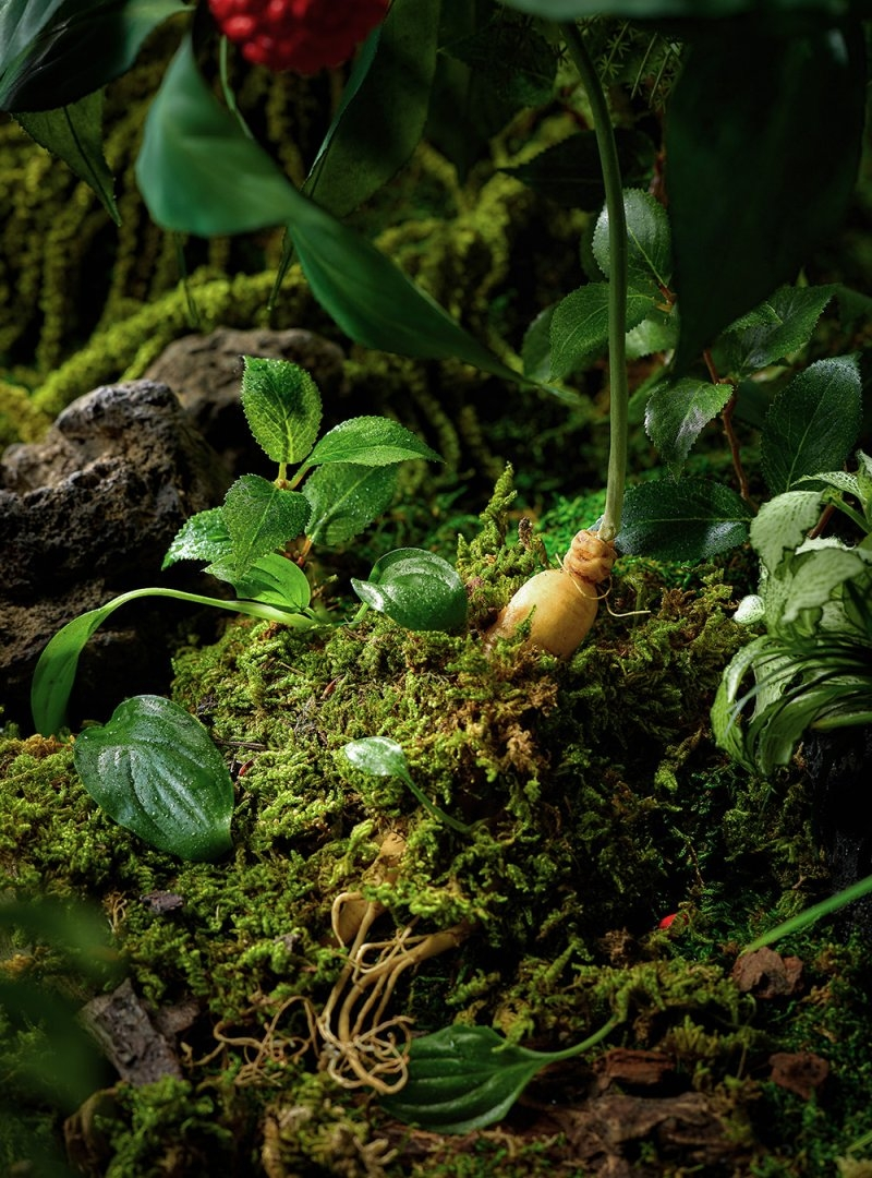 설화수 (Sulwhasoo) 여윤팩 review image