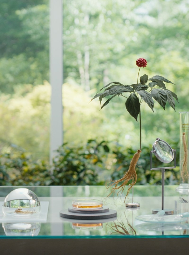 설화수 (Sulwhasoo) 여윤팩 review image