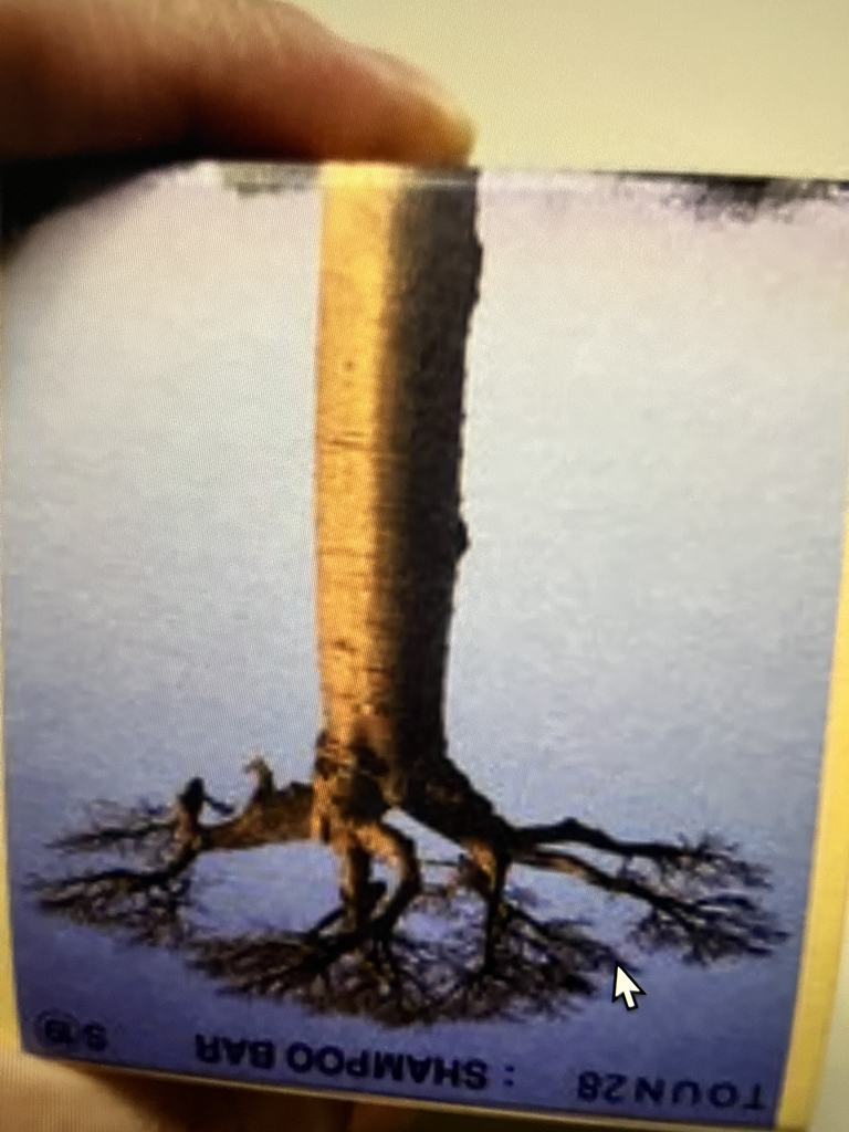 톤28 (TOUN28) 샴푸바 S19 바오밥 [모발보습케어] review image