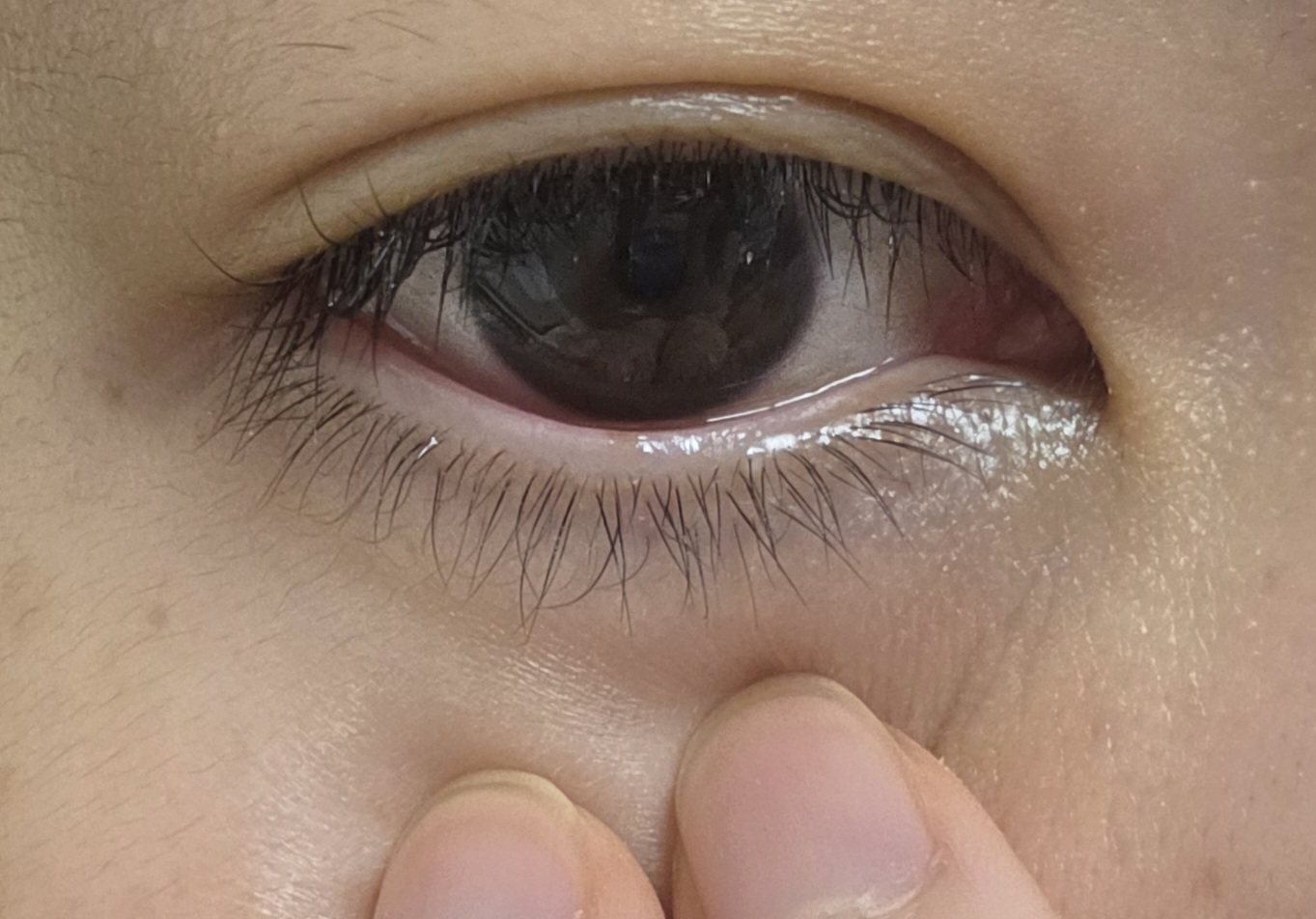 마르시끄 (MARSHIQUE) 인리치드 속눈썹 눈썹 영양제 review image