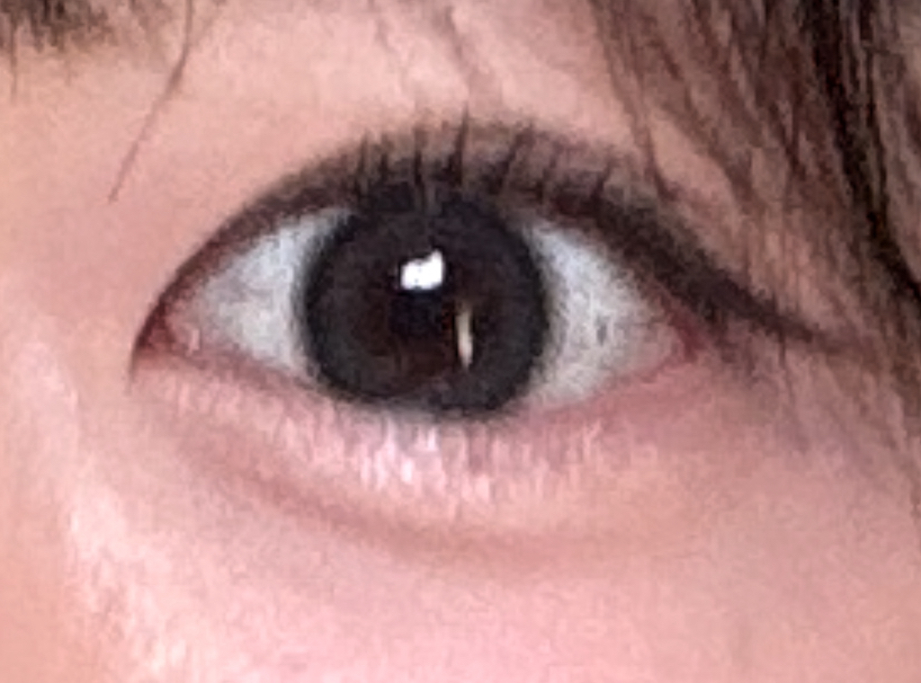 투쿨포스쿨 (toocoolforschool) 아트클래스 프로타주 펜슬 [1호 샤이닝린넨] review image