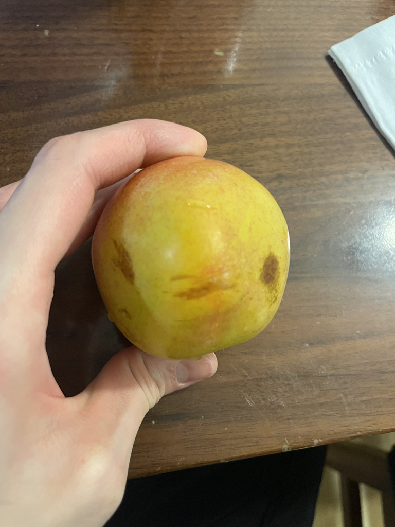 닥터트웬티프로젝트 (Dr.twentyproject) 나인 토너 review image