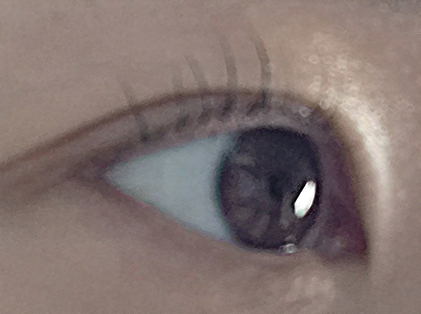 本顿 欧内斯特睫毛精华液 common.review image