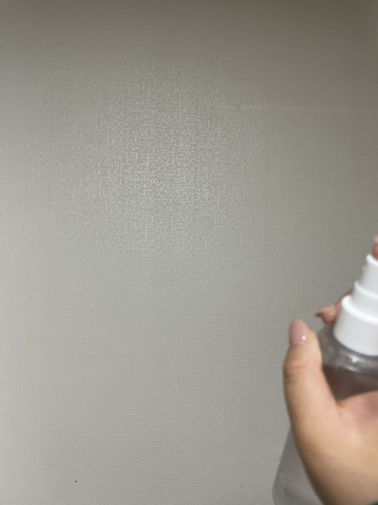 소미 (SOMI) 클라우드 딥 글로우 미스트 review image