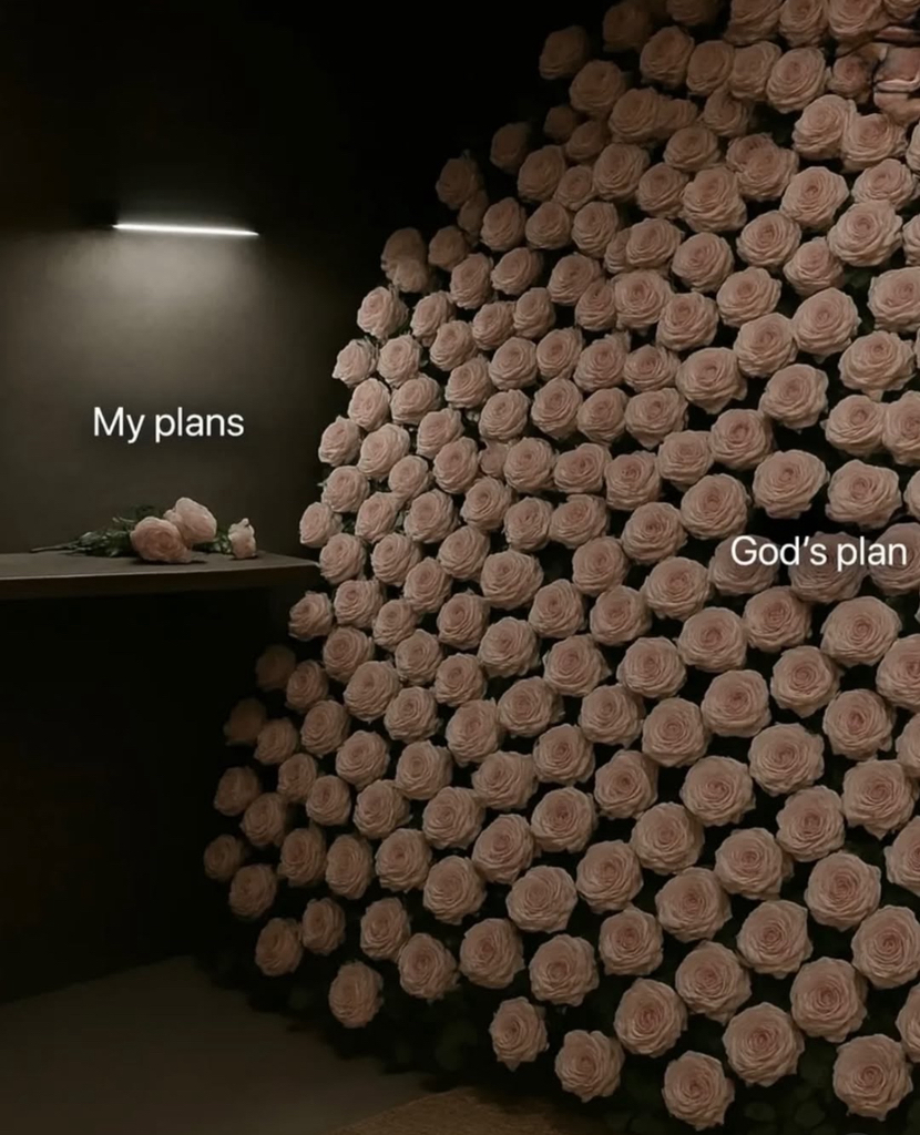 霏丝佳 DMT 洁面乳 common.review image