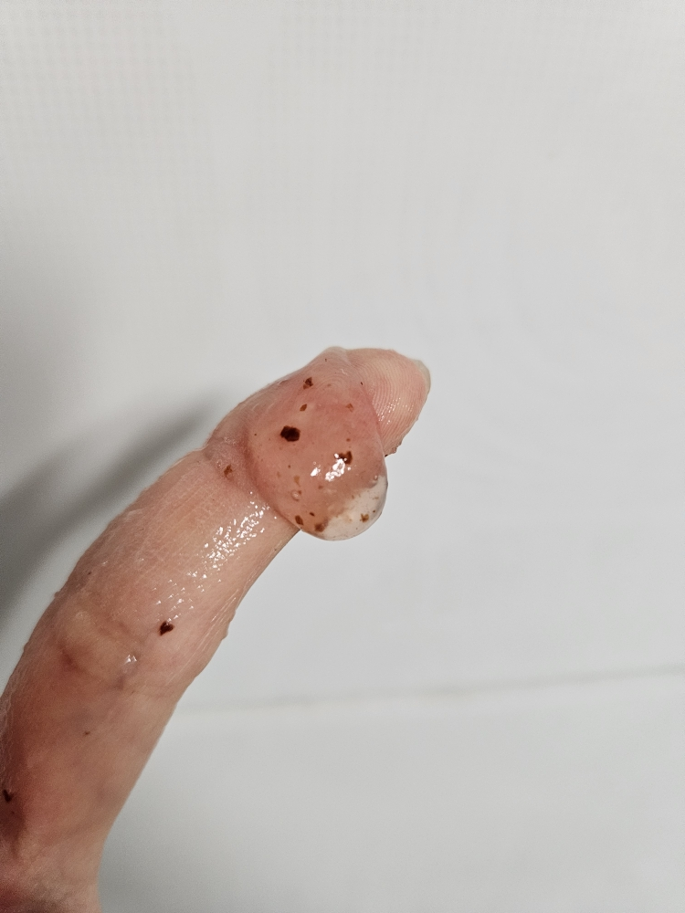 라운드랩 (ROUNDLAB) 동백 딥 콜라겐 젤리 팩 클렌저 review image