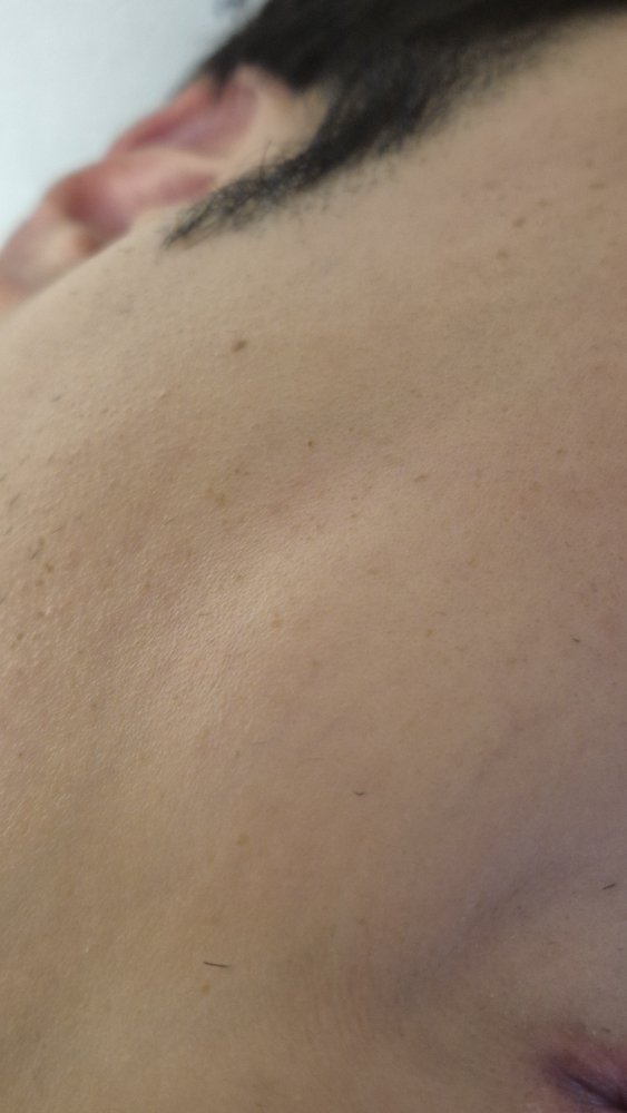 한율 (HANYUL) 어린쑥 수분진정 크림 review image