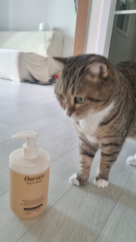 몽디에스 (mongdies) 아워스킨 바디워시 review image