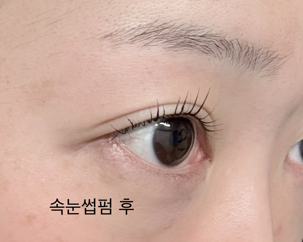 마르시끄 (MARSHIQUE) 인리치드 래쉬 & 브로우 셀프 펌 키트 review image