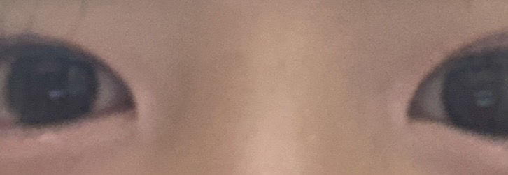 투쿨포스쿨 (toocoolforschool) 프로타주 펜슬 [15호 피오니티] review image