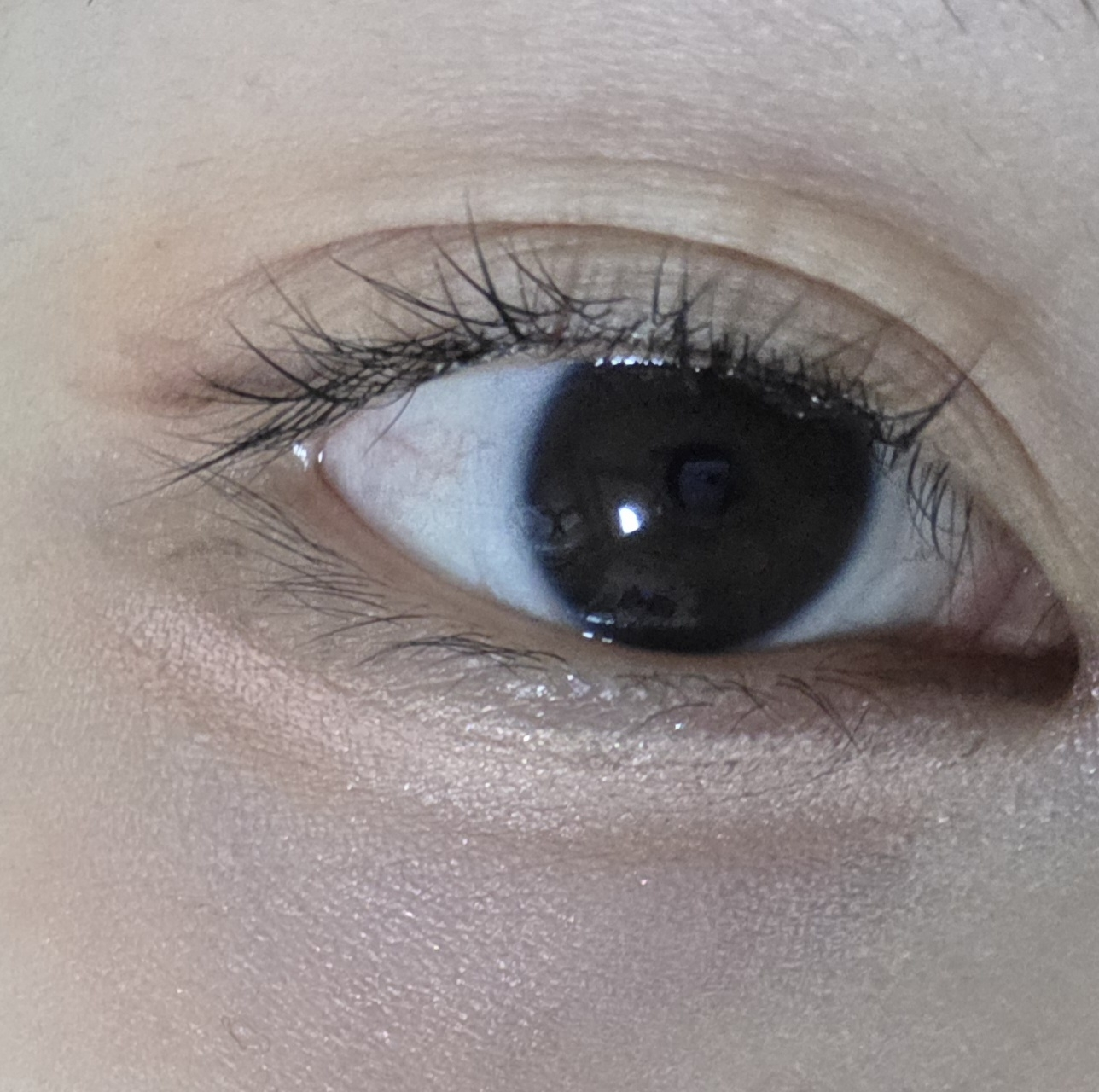 홀리카홀리카 (HOLIKAHOLIKA) 마이페이브 무드 아이팔레트 [12 폴인오트] review image