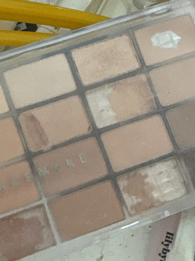 웨이크메이크 (wakemake) 소프트 블러링 아이팔레트 [03 선셋블러링] review image