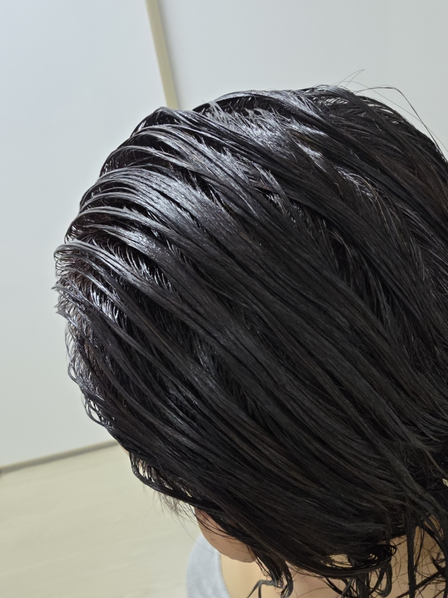 리시리 (rishiri) 헤어컬러링 트리트먼트 [흑갈색] review image