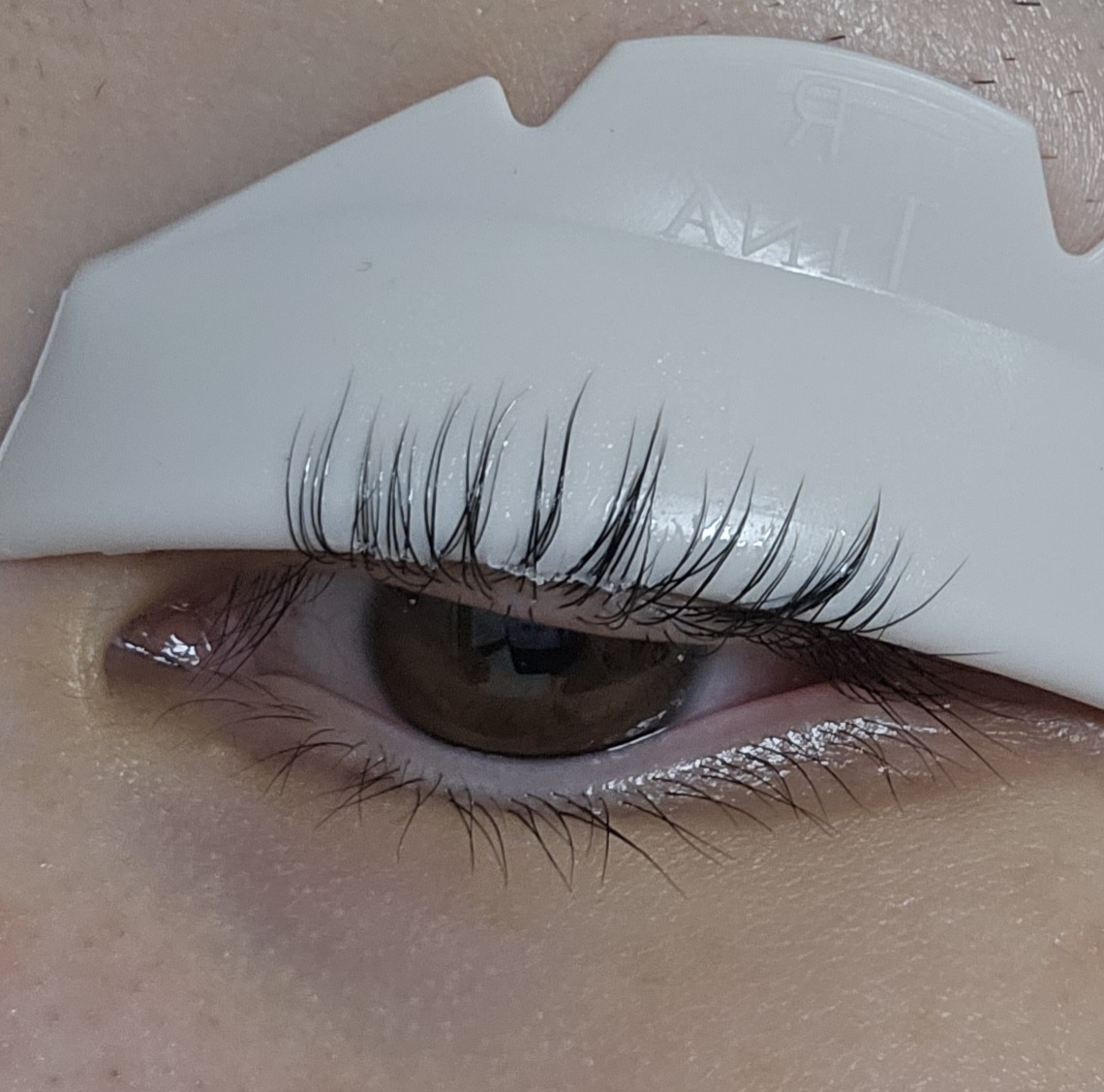 마르시끄 (MARSHIQUE) 인리치드 래쉬 & 브로우 셀프 펌 키트 review image