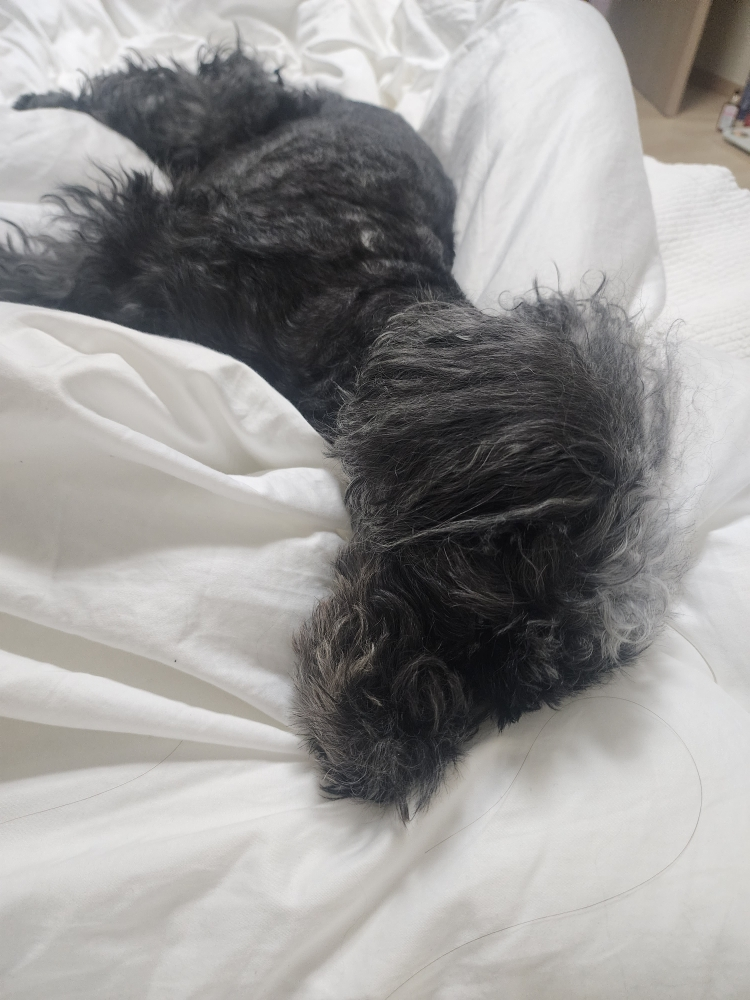 메디필 (MEDIPEEL) 레드 락토 콜라겐 클리어 폼 클렌저 2.0 review image