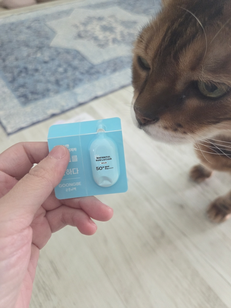 궁중비책 (GOONGBE) 워터풀 선로션 마일드 [SPF50+/PA++++] review image