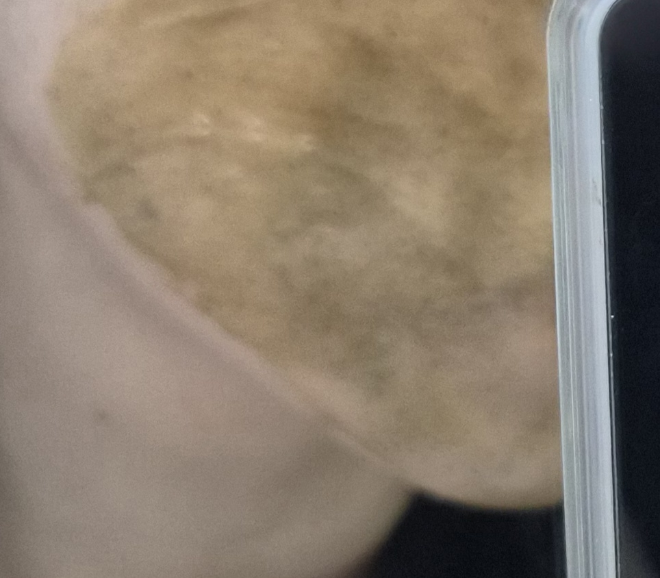 HANYUL Mặt nạ hấp thụ làm sạch da từ cây ngải cứu non review image