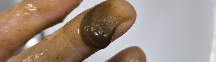 HANYUL Mặt nạ hấp thụ làm sạch da từ cây ngải cứu non review image