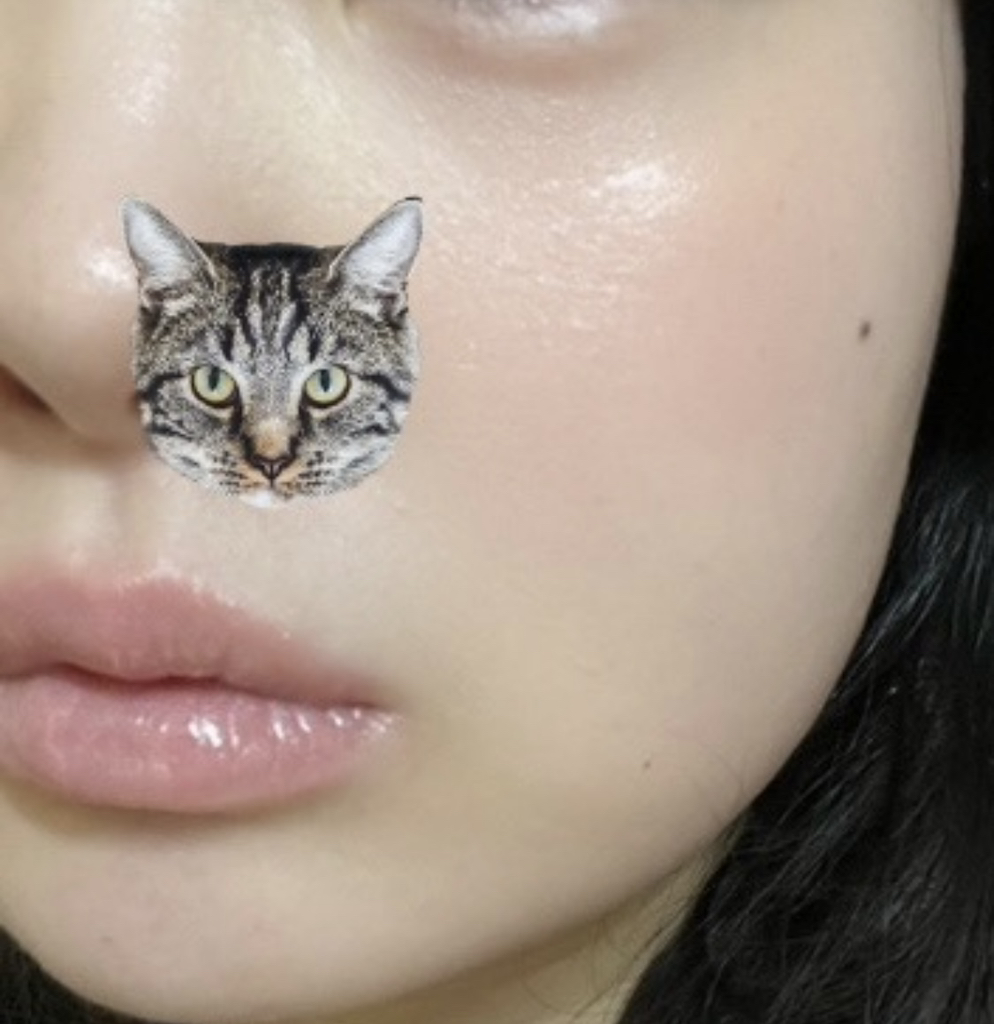 드롭비 (DROPBE) 컬러즈 블러셔 스틱 [02 블러셔피치문] review image