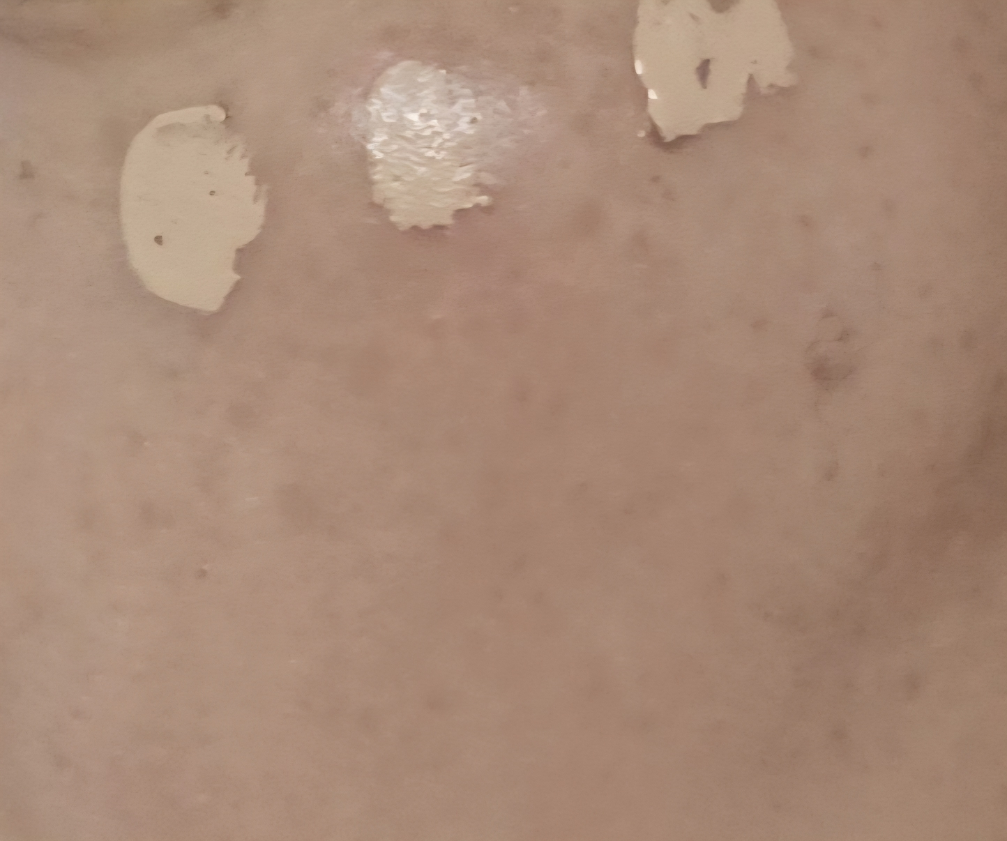 bonamedusa Fantasy Concealer review image