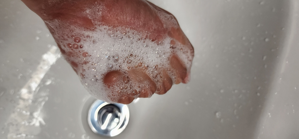 ShionLe Bọt rửa mặt tảo biển review image