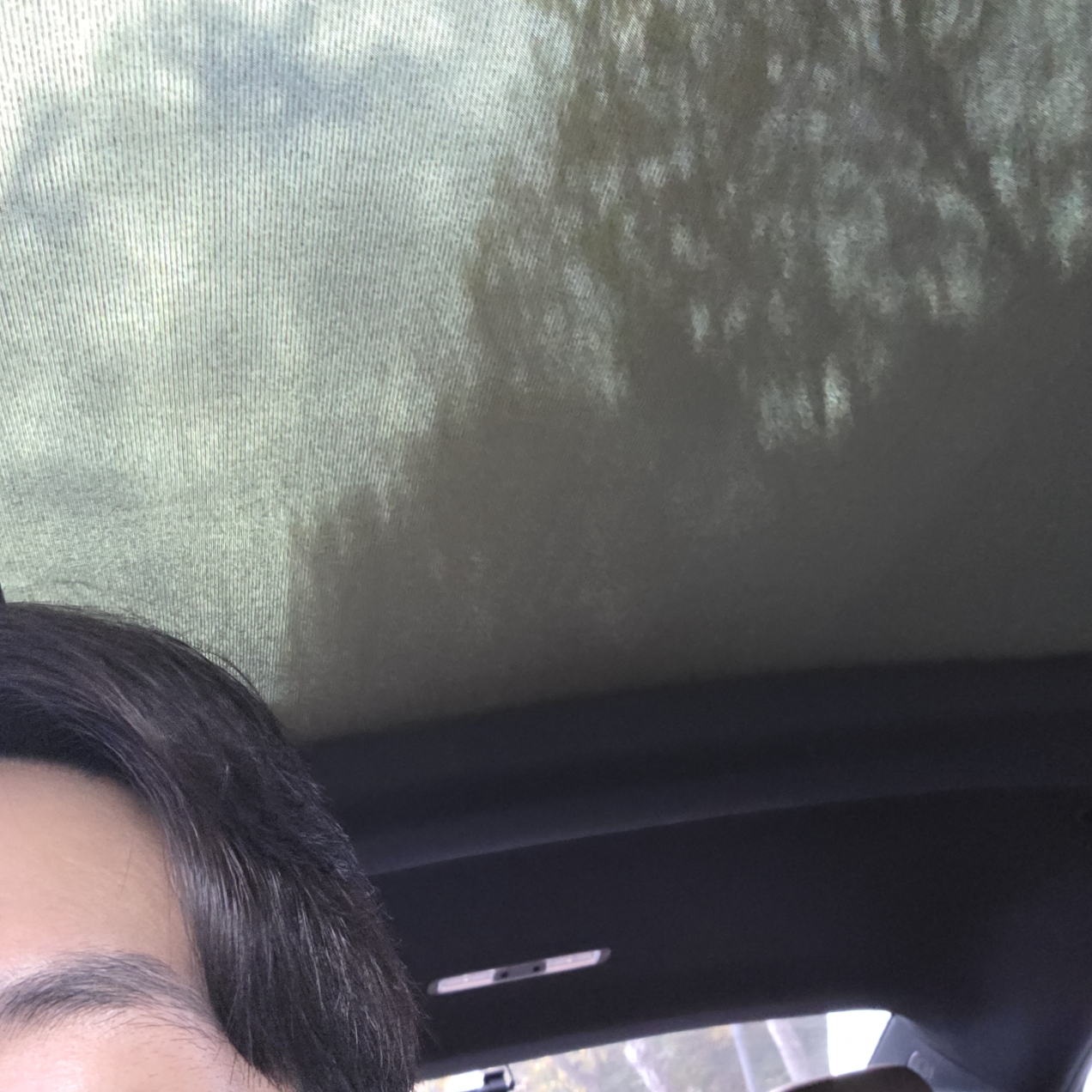 紫锥菊玻尿酸舒缓清透护垫的真实用户使用照片